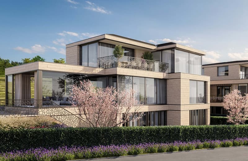 Luxuriöse Neubau-Villa in einer der Top‑3 steuergünstigsten Gemeinden Luzerns (3)