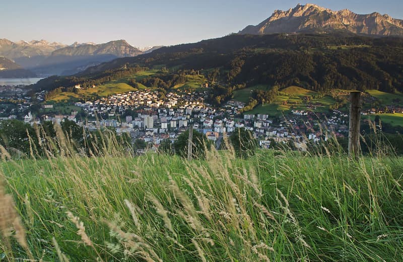Stilvolle 4.5-Zimmer-Eigentumswohnung mit Südausrichtung und Pilatusblick (8)