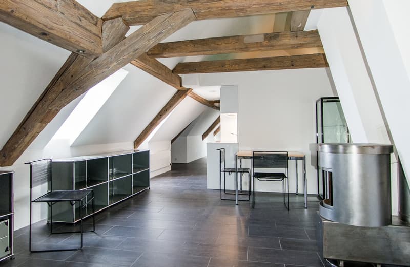 Schloss in St. Gallen – Repräsentatives, totalsaniertes Schloss mit See- und Weitsicht (9)