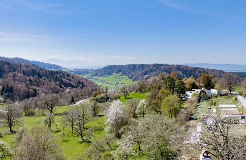 Einzigartiges Wohnensemble mit Weitblick und vielseitigem Nutzungspotenzial (6)