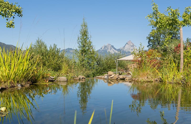 »ESSENZ« – Ein Naturhaus über dem Vierwaldstättersee (11)