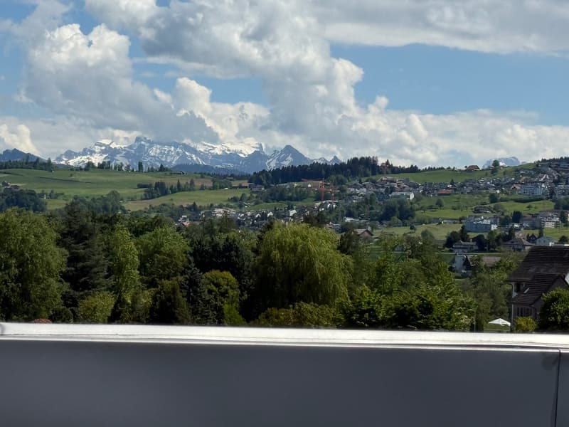 Stilvolle Attikawohnung mit Terrasse und grossem Variabelraum (7)