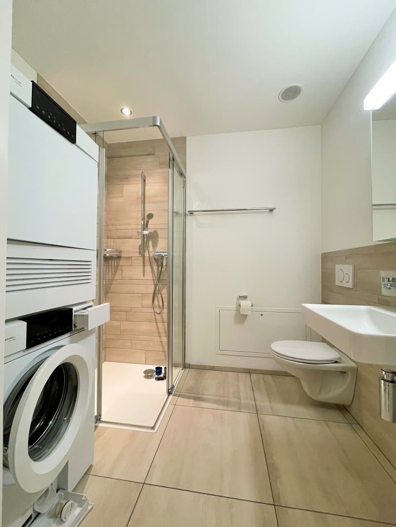 grosszügige, moderne und helle Wohnung zu vermieten (5)