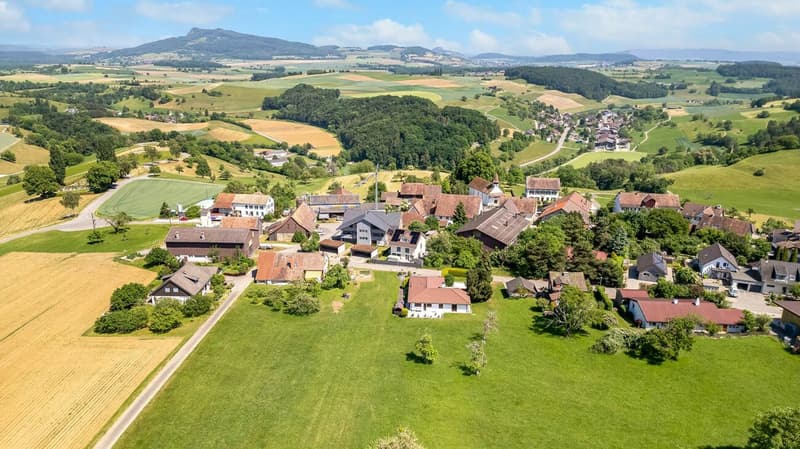 Bungalow im Naturpark (2)
