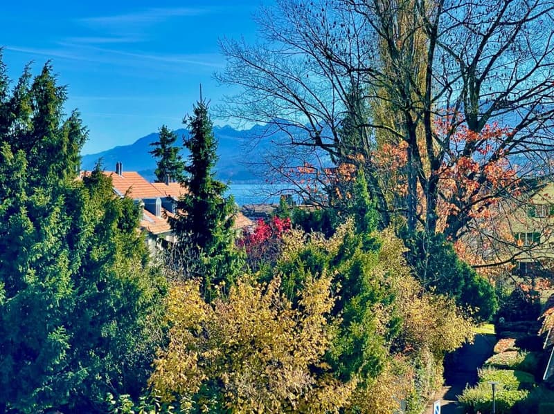 Zentral, ruhig und viel Platz für die ganze Familie (9)
