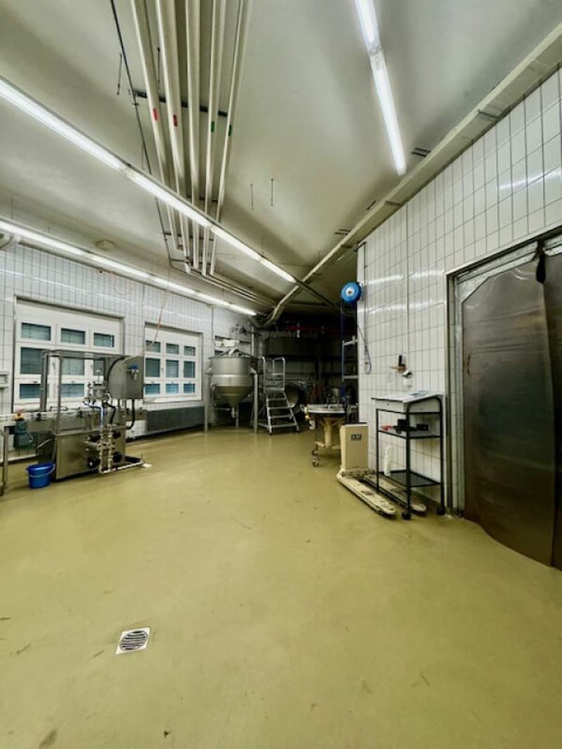 Gewerberäume an guter Lage (9)