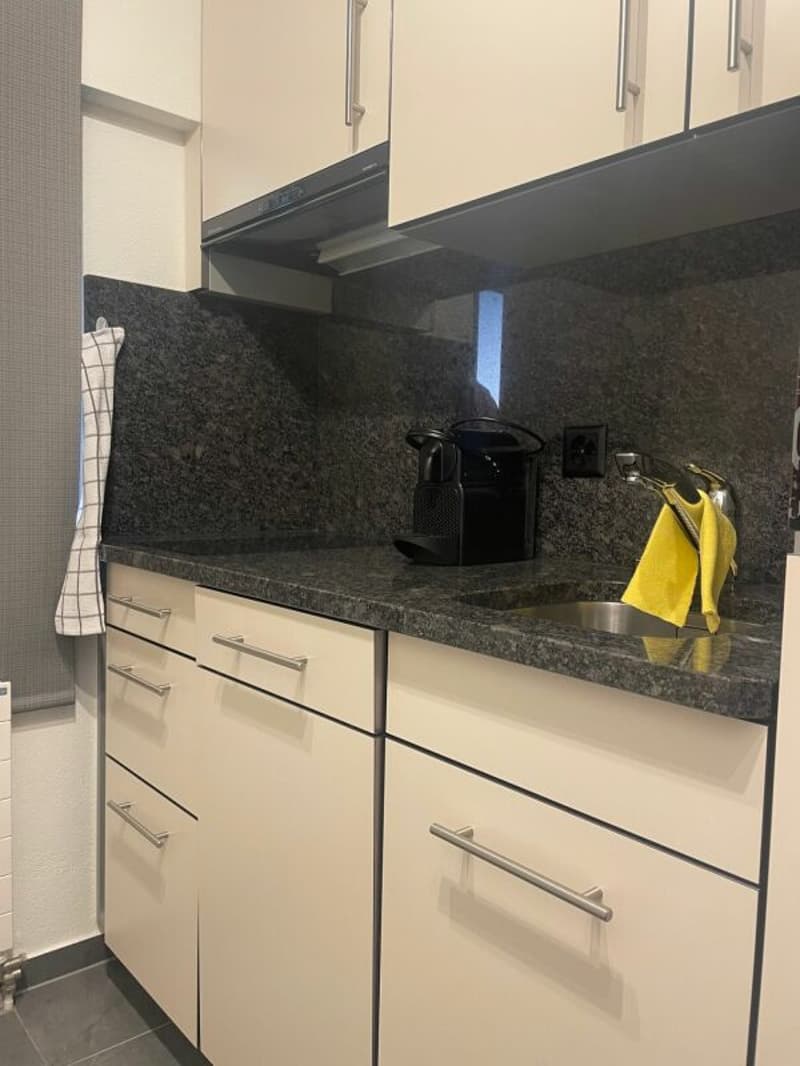 Gemütliche möblierte Studiowohnung im Steuerparadies Kopie (4)