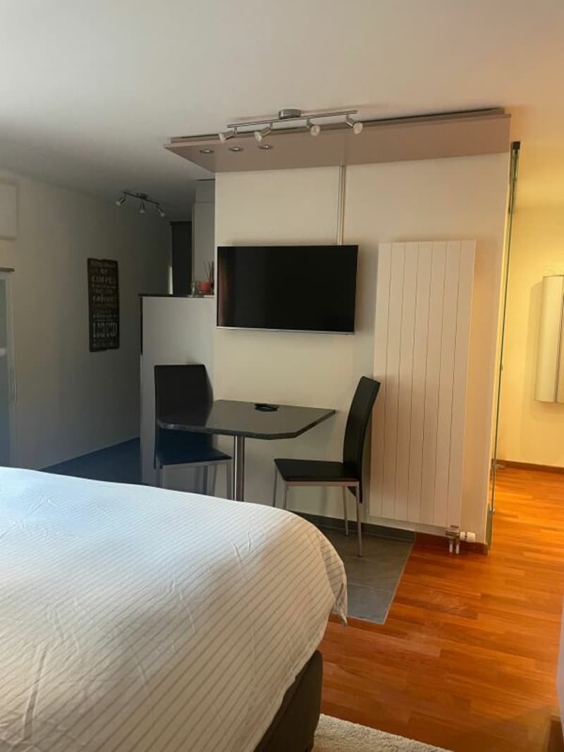Gemütliche möblierte Studiowohnung im Steuerparadies Kopie (3)