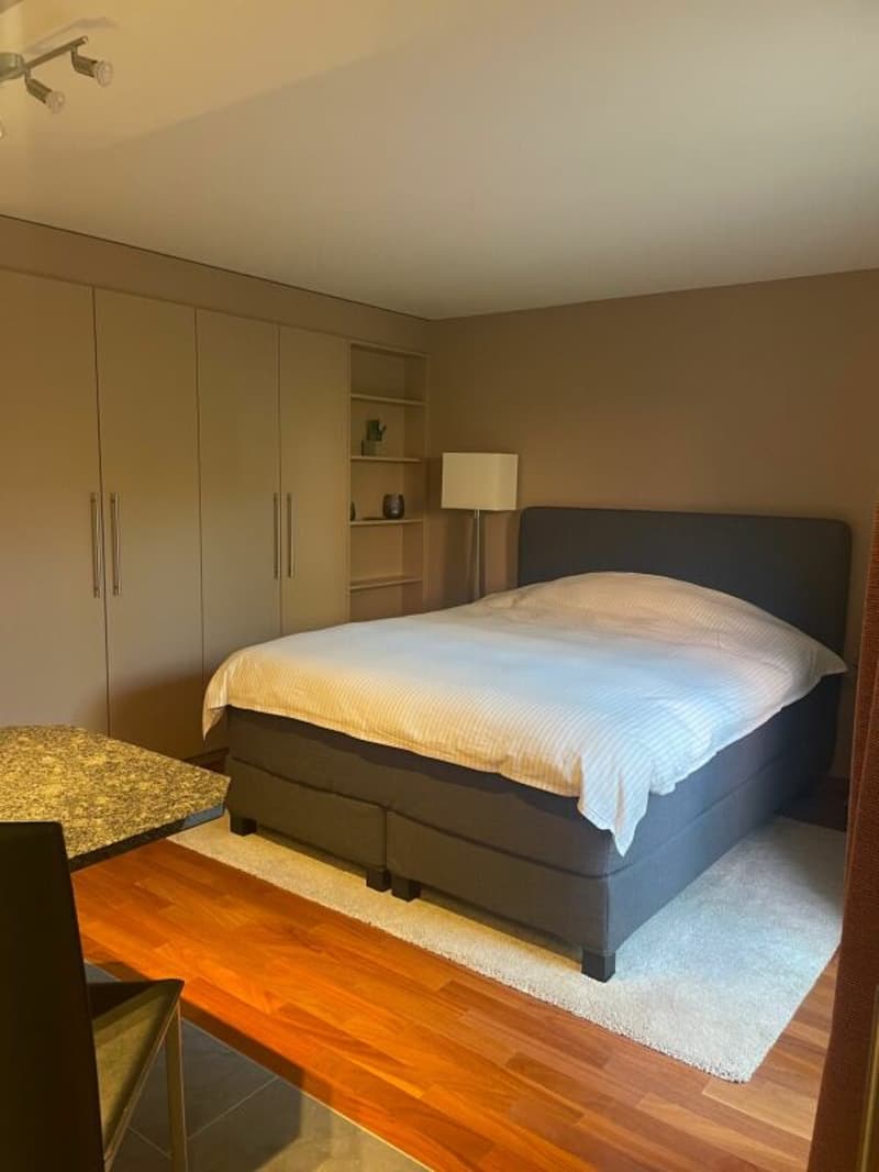 Gemütliche möblierte Studiowohnung im Steuerparadies Kopie (2)