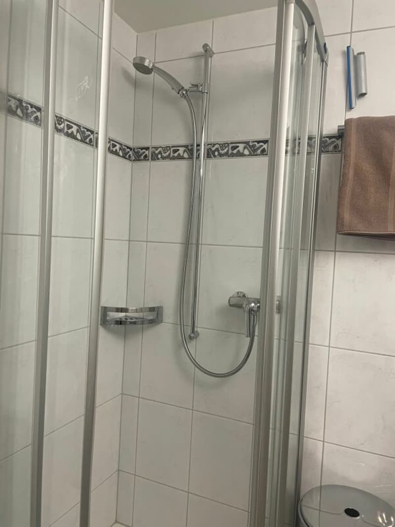 Gemütliche möblierte Studiowohnung im Steuerparadies Kopie (5)