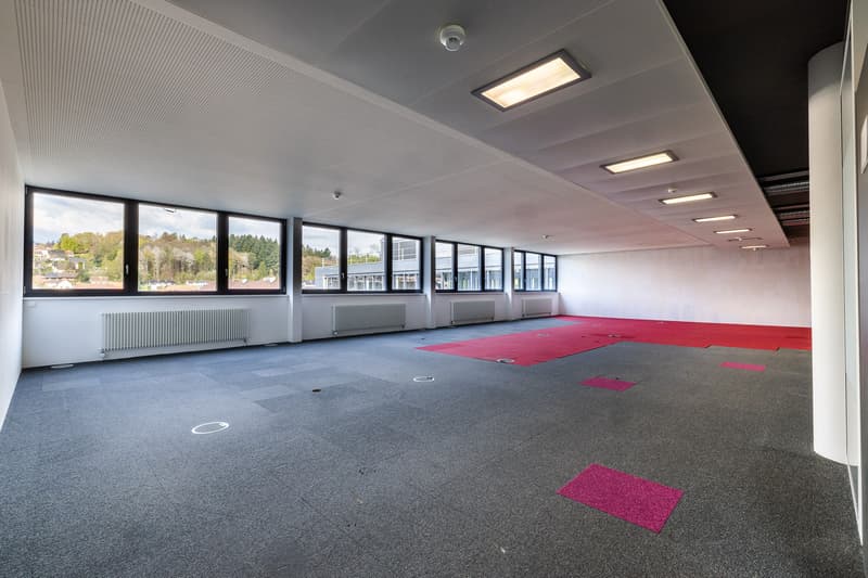 attachment:bb7620b3 3c5f 406c 9ab3 e1c782b17169:2604 liebefeld businesspark 12 Low