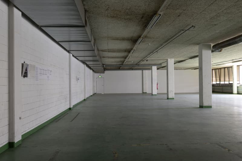 attachment:5b56c417 2059 485d a6f1 6437f06109f6:20260526 ImmoAtelier Reinach Shootingphoto 123250