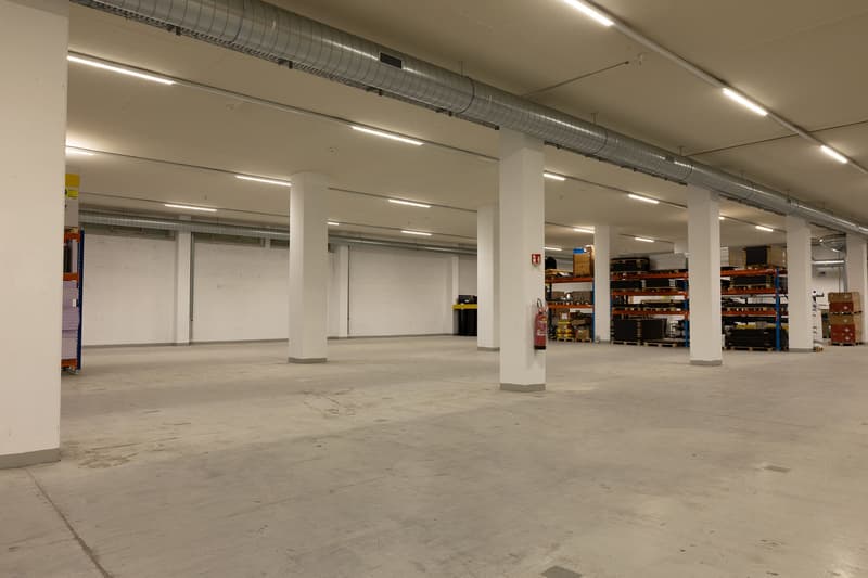 attachment:d0f3294b 4b8f 474c 90c0 3db8763b50f9:20260526 ImmoAtelier Reinach Shootingphoto 124051