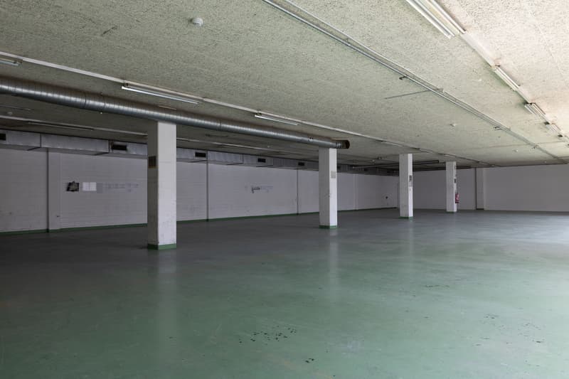 attachment:917d7281 1eb3 4d58 a0c5 6950647f16e3:20260526 ImmoAtelier Reinach Shootingphoto 123316