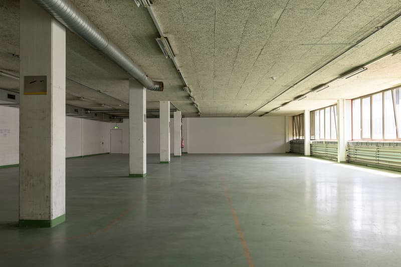 attachment:3af84560 8584 4a20 ac4d 2cd71962e5a4:20260526 ImmoAtelier Reinach Shootingphoto 123340
