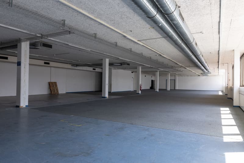 attachment:a363f753 bb59 4938 8b9c b1335eb7fd99:20260526 ImmoAtelier Reinach Shootingphoto 121347