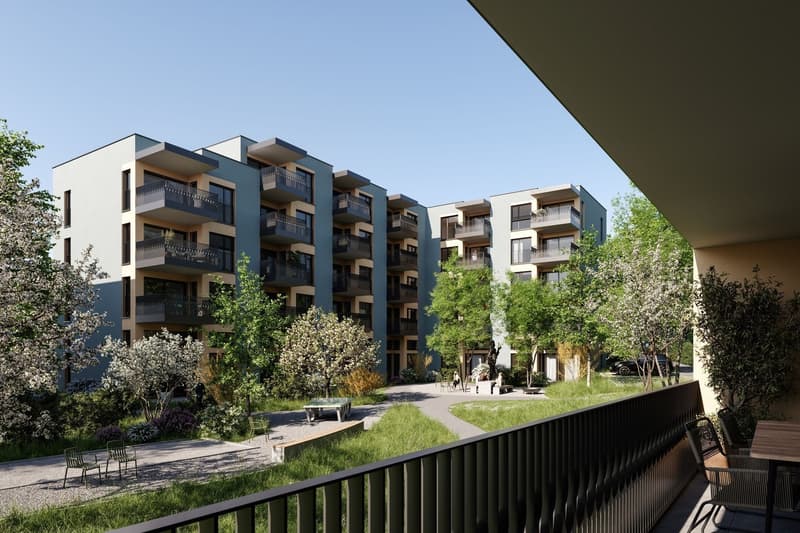 First-time rental of commercial spaces | Residential building DOMUM Tagelswangen (5)