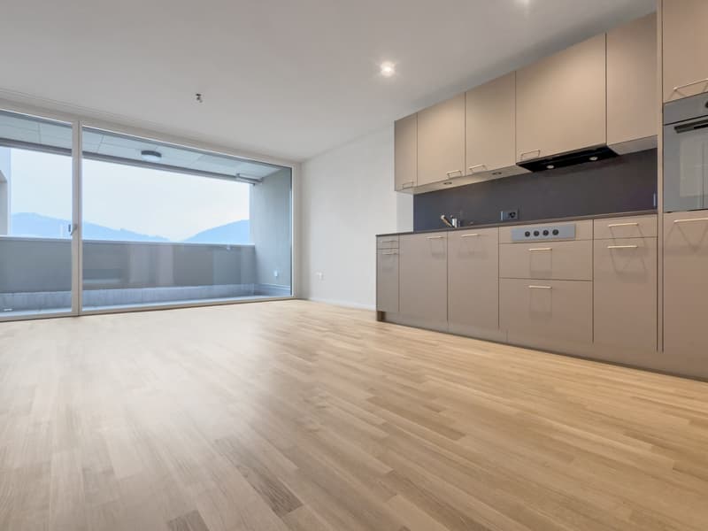 Wohnüberbauung DOMUM Buchrain | Mehrgenerationenhaus mit Siedlungscoach, Fitnessstudio und vielem mehr (1)