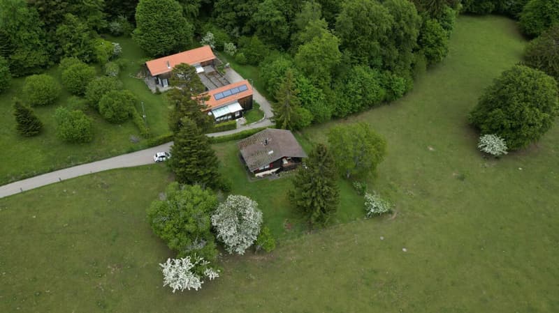 Idyllisches Chalet mit grossem Grundstück an absoluter Ruhelage in Magglingen (16)