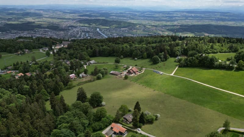 Idyllisches Chalet mit grossem Grundstück an absoluter Ruhelage in Magglingen (20)