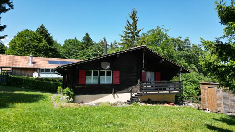 Idyllisches Chalet mit grossem Grundstück an absoluter Ruhelage in Magglingen (13)