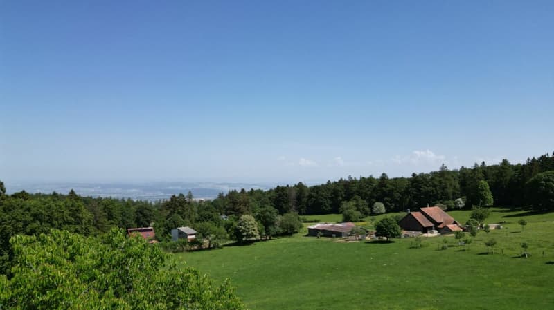 Idyllisches Chalet mit grossem Grundstück an absoluter Ruhelage in Magglingen (19)