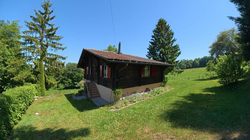 Idyllisches Chalet mit grossem Grundstück an absoluter Ruhelage in Magglingen (14)