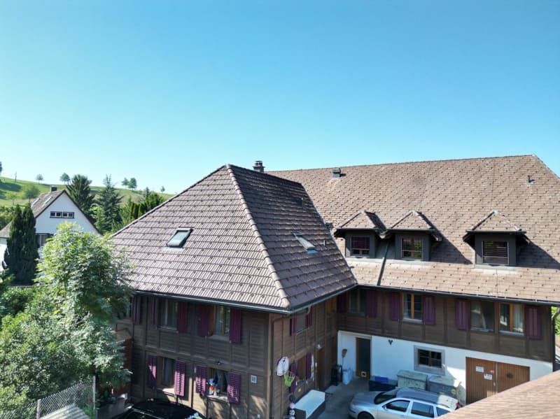 Wohnen & Arbeiten vereint - charmantes Stöckli mit Gewerbe und Ausbaupotenzial (12)