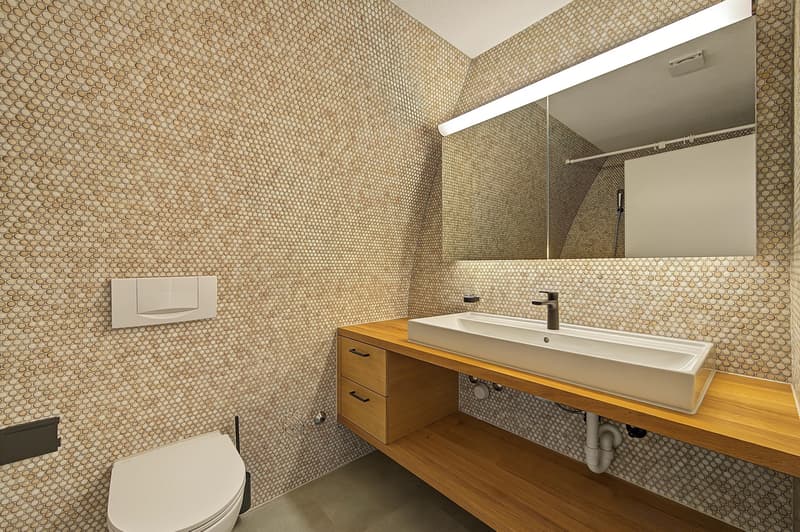 Exklusive Stadtwohnung mit privater Dachterrasse (10)