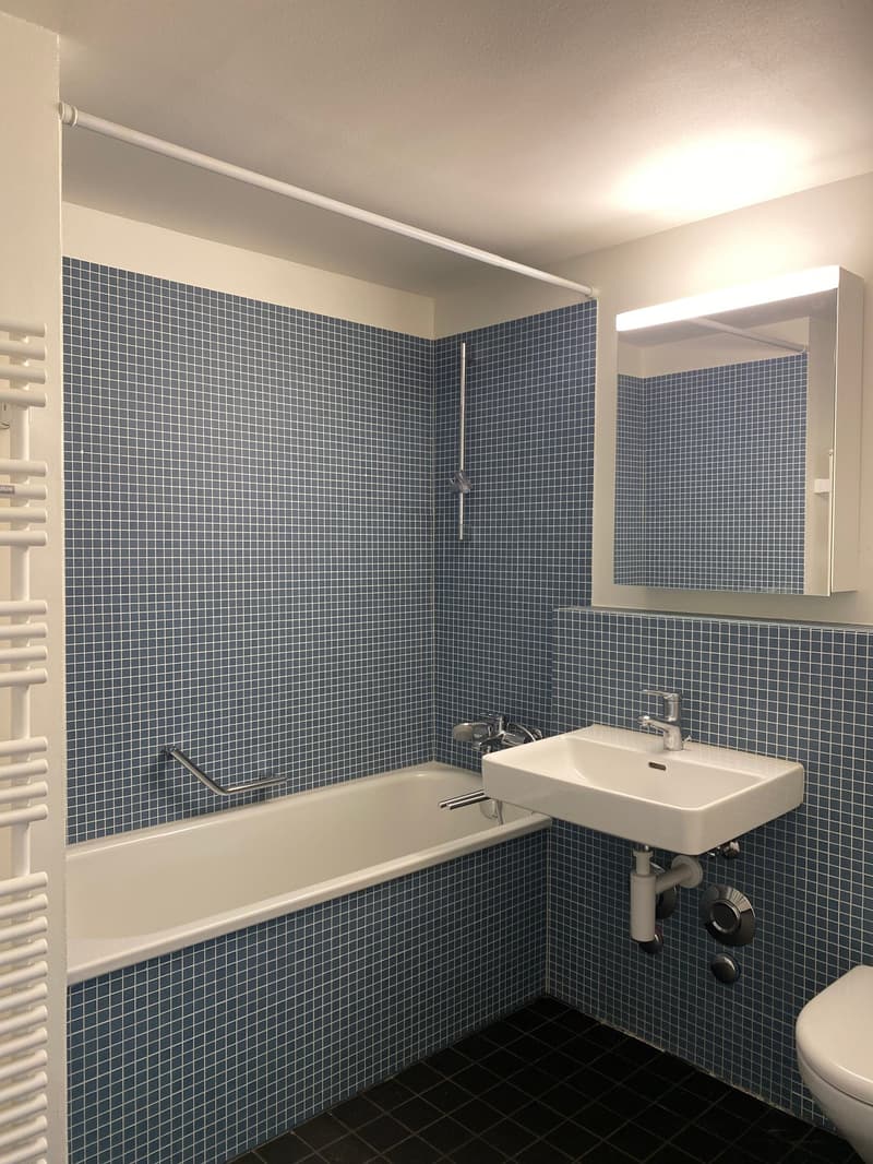 2.5-Zimmerwohnung mit Weitblick (6)