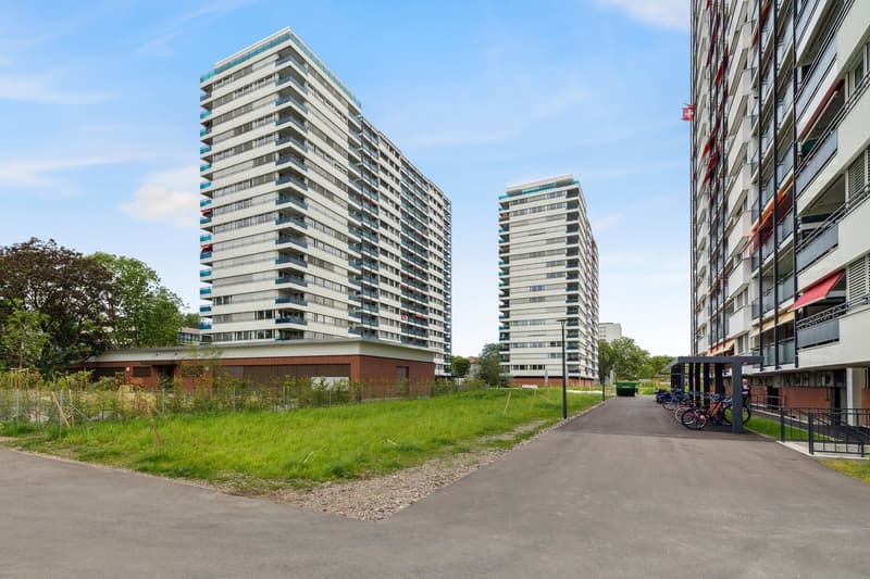 Wohnen im Neubau (1)