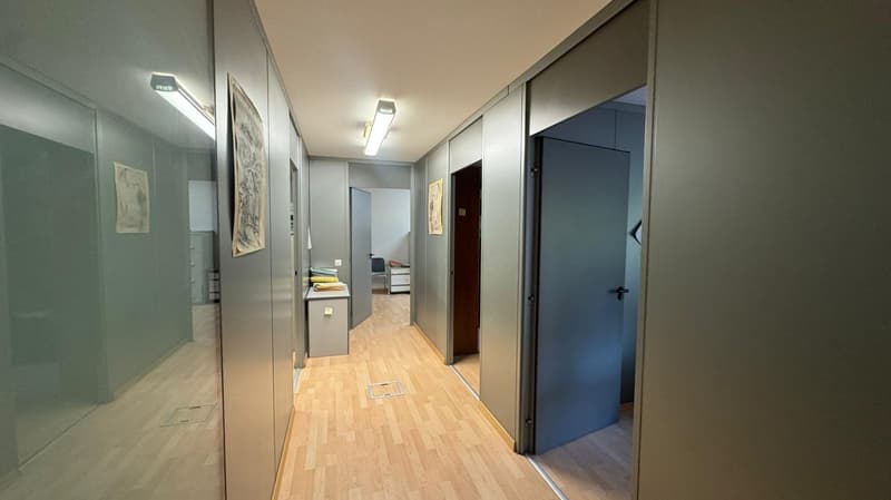 MENDRISIO CENTRO – IMPORTANTE STABILE A REDDITO (3)