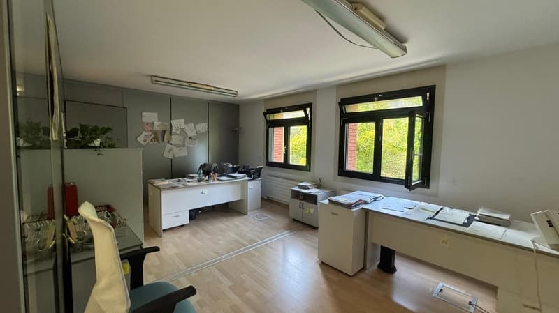 MENDRISIO CENTRO – IMPORTANTE STABILE A REDDITO (5)