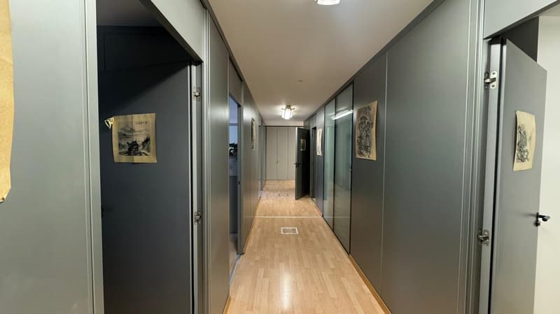 MENDRISIO CENTRO – IMPORTANTE STABILE A REDDITO (2)