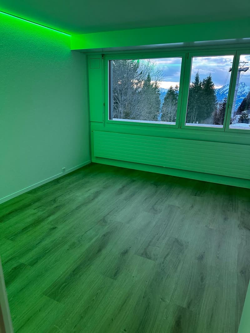 empty room with wooden floors, green walls, large window with mountain view