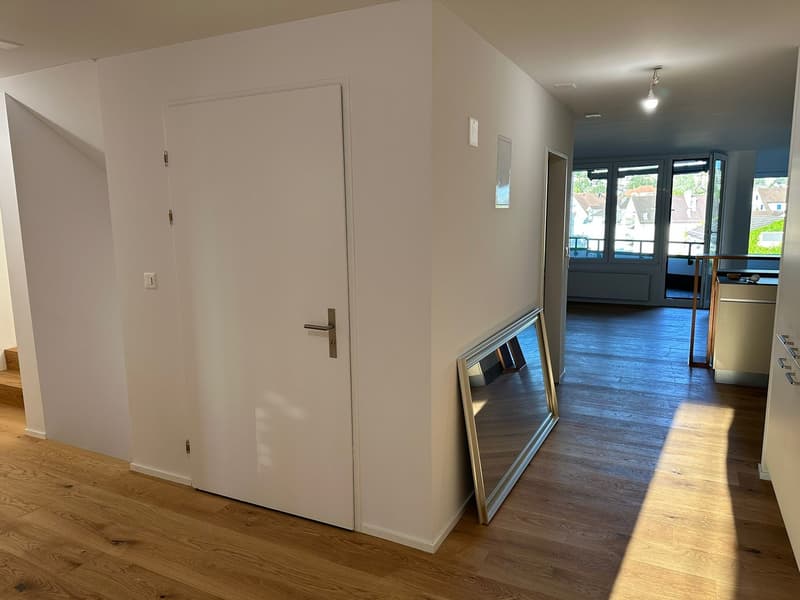 Moderne Maisonette mit privatem Liftzugang und traumhafter Dachterrasse (3)