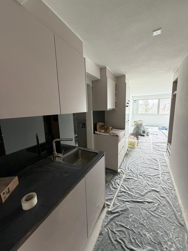 Attraktive Studio-Wohnung in Rigi Kaltbad mit viel Licht (4)