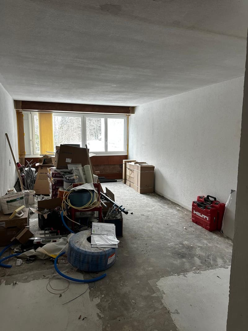 Charmantes 1-Zimmer-Studio in ruhiger Lage in Rigi Kaltbad (3)