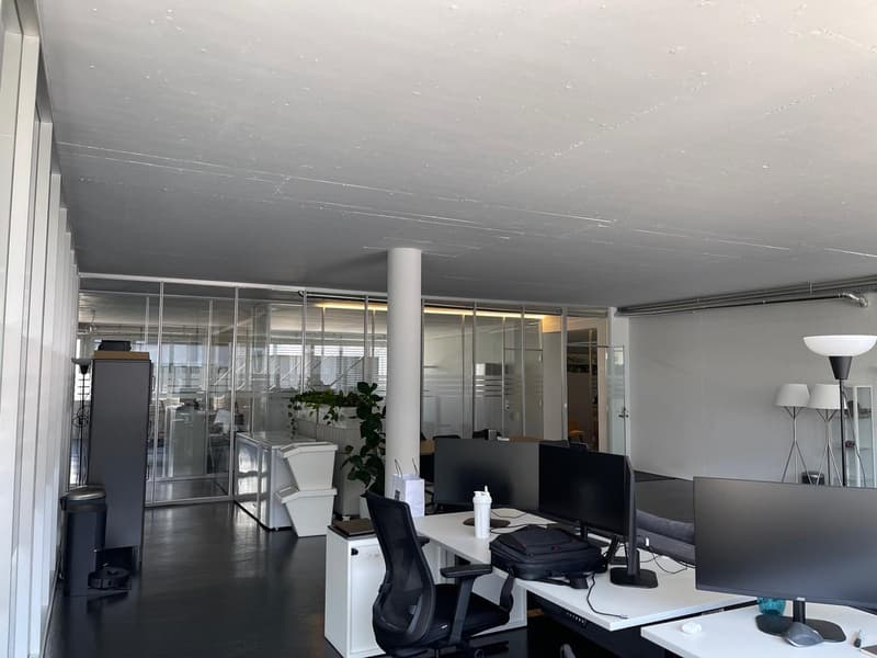 Helle Bürofläche an guter Lage in Cham (13)