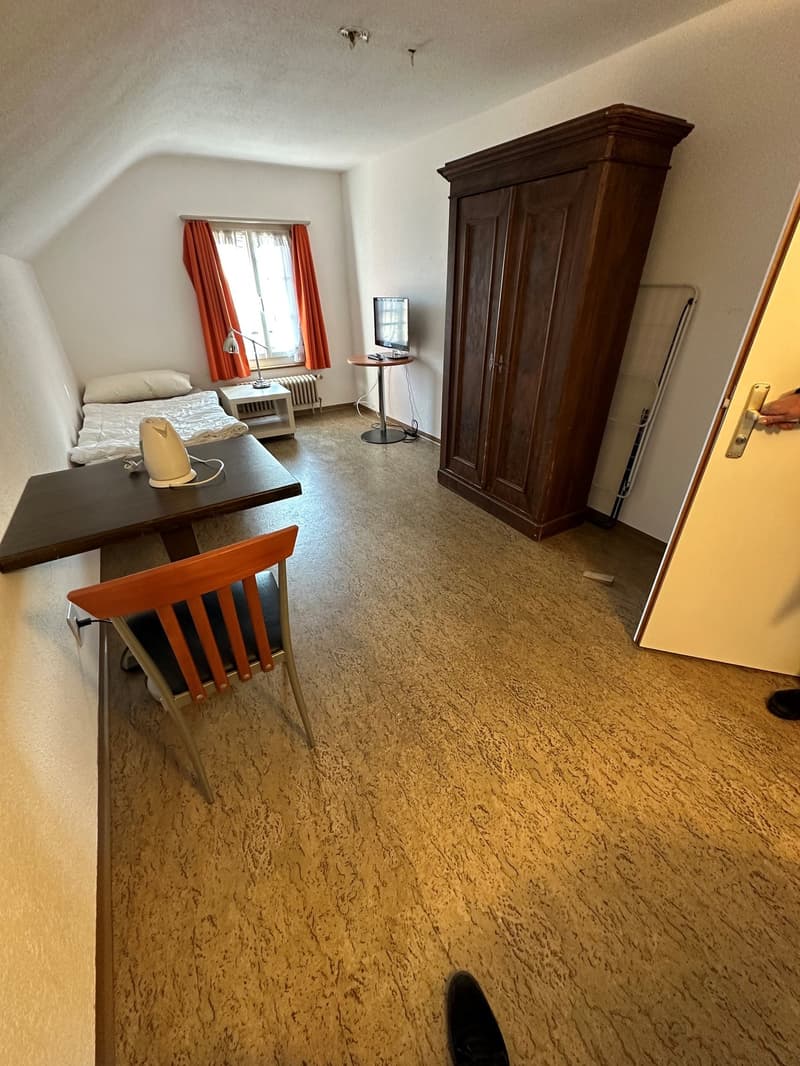 1-Zimmer in Boswil (AG) (1)