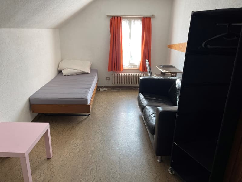 1-Zimmer in Boswil (AG) (2)