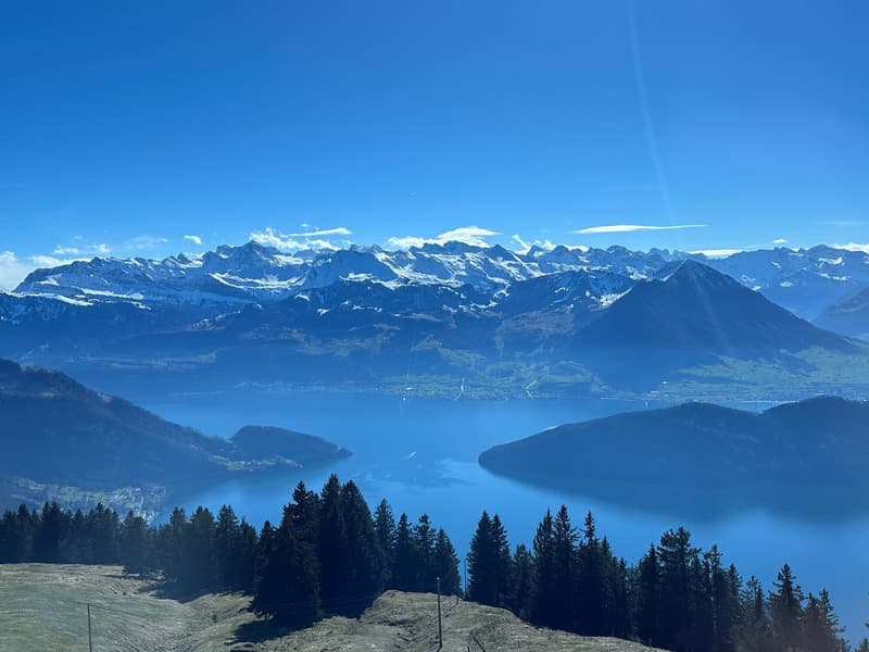 Traumhafte 4.5 Zimmer Wohnung auf Rigi Kaltbad, frisch renoviert – mit See-, Berg- und Alpenblick (1)
