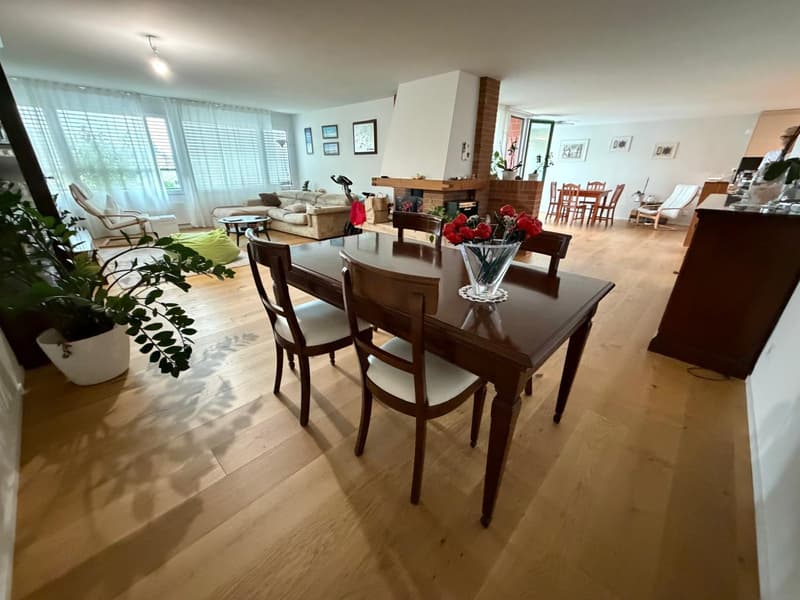 Moderne Maisonette mit direkte Liftzugang zum wohnung und traumhafter Dachterrasse (2)