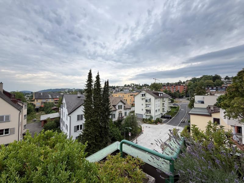 Exklusive Maisonettewohnung mit direktem Liftzugang und traumhafter Dachterrasse (17)
