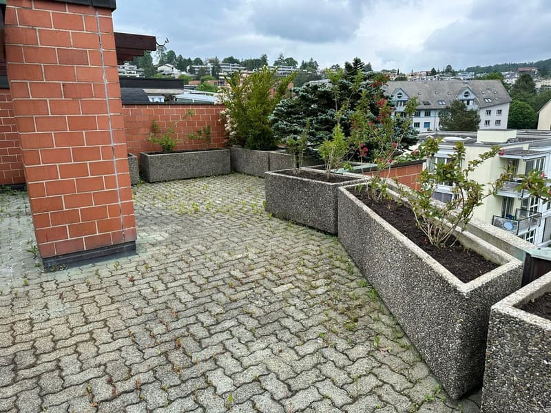 Exklusive Maisonettewohnung mit direktem Liftzugang und traumhafter Dachterrasse (18)