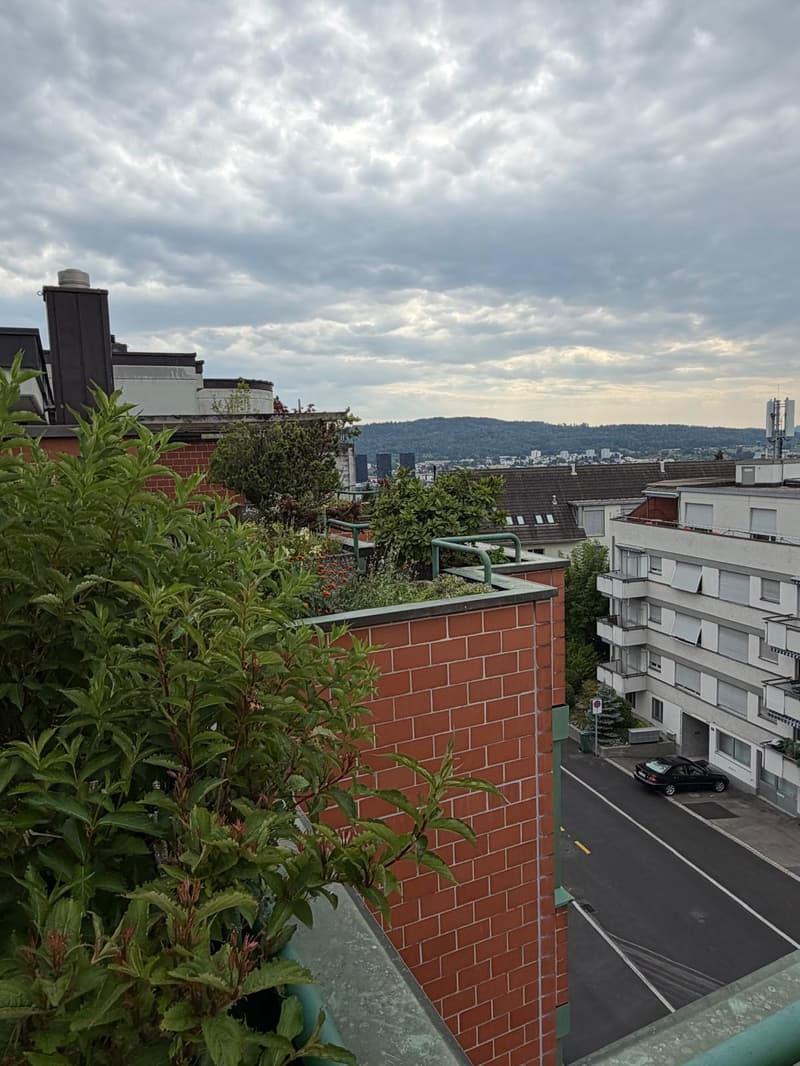 Exklusive Maisonettewohnung mit direktem Liftzugang und traumhafter Dachterrasse (21)