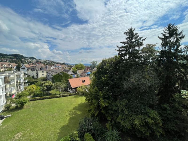 Exklusive Maisonettewohnung mit direktem Liftzugang und traumhafter Dachterrasse (6)