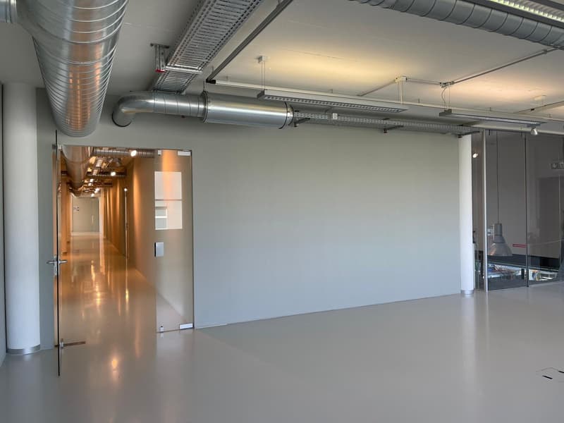 Helle Bürofläche in Cham – 58 m² (2)