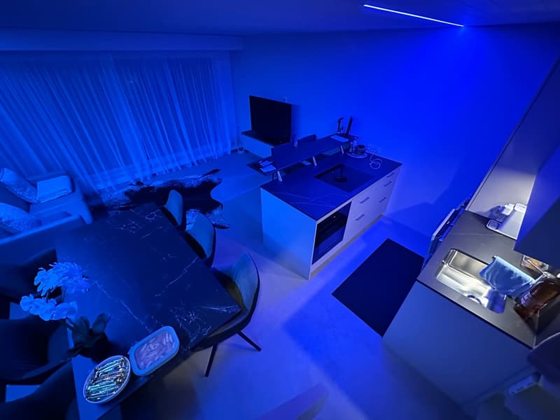 Traumhafte 4.5 Zimmer Wohnung auf Rigi Kaltbad, frisch renoviert – mit See-, Berg- und Alpenblick (1)