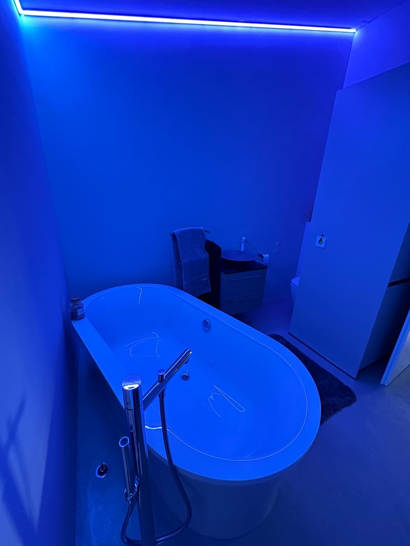 Traumhafte 4.5 Zimmer Wohnung auf Rigi Kaltbad, frisch renoviert – mit See-, Berg- und Alpenblick (7)